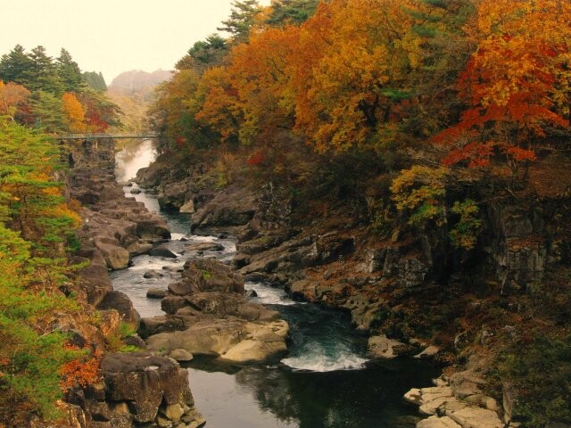 厳美渓の紅葉見ごろ情報 天気 日本気象協会 Tenki Jp