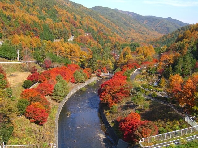 横川渓谷の写真