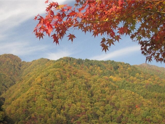 松川渓谷 片桐松川 の紅葉見ごろ情報 天気 日本気象協会 Tenki Jp