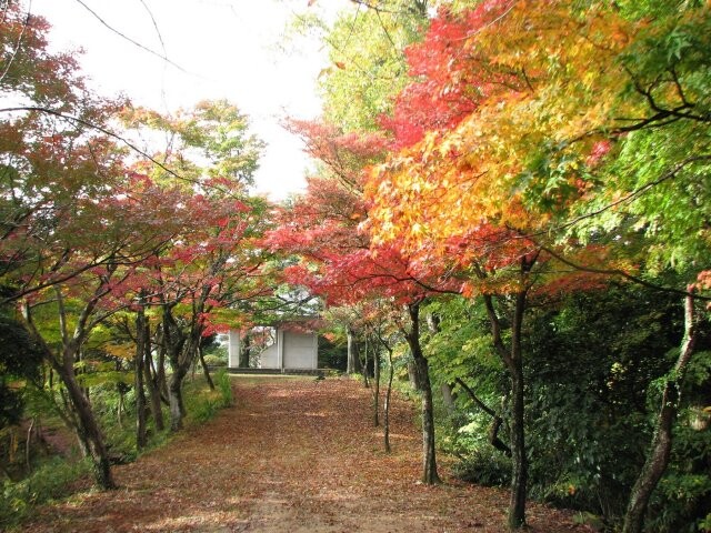 城崎温泉東山公園の写真