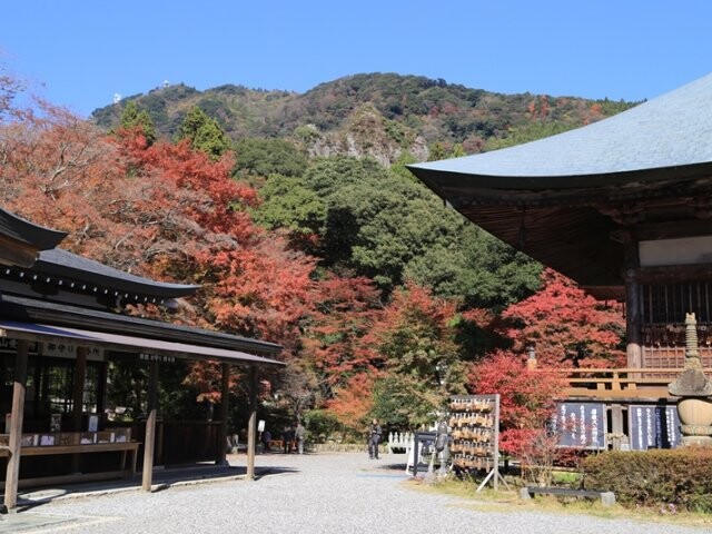 両子寺の紅葉見ごろ情報 天気 日本気象協会 Tenki Jp