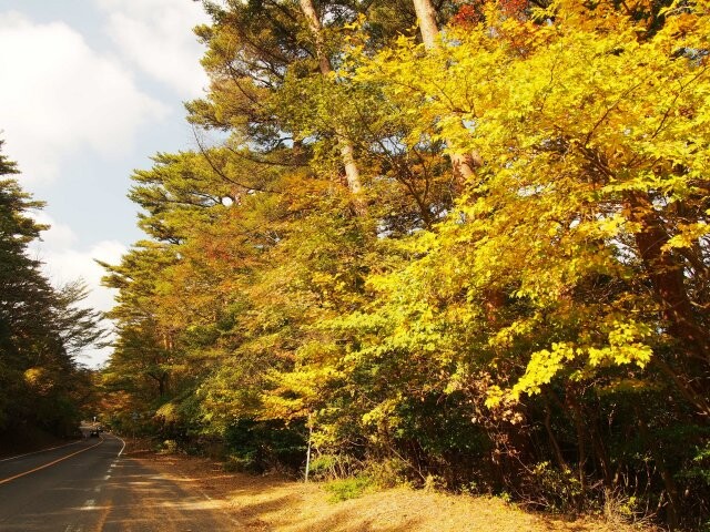 県道1号線 丸尾 大浪池登山口 の紅葉見ごろ情報 天気 日本気象協会 Tenki Jp