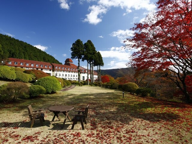 小田急 山のホテルの写真