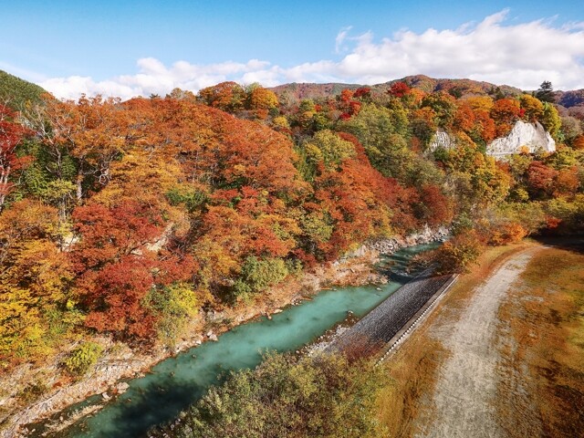 高遠城址公園の紅葉見ごろ情報 天気 日本気象協会 Tenki Jp