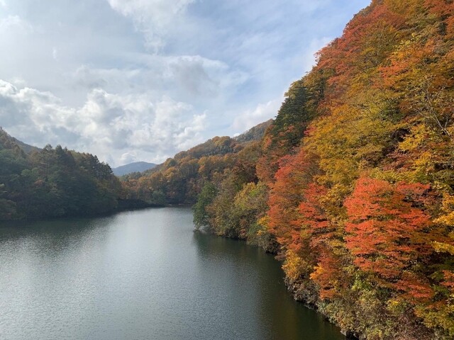 鳥崎渓谷の写真