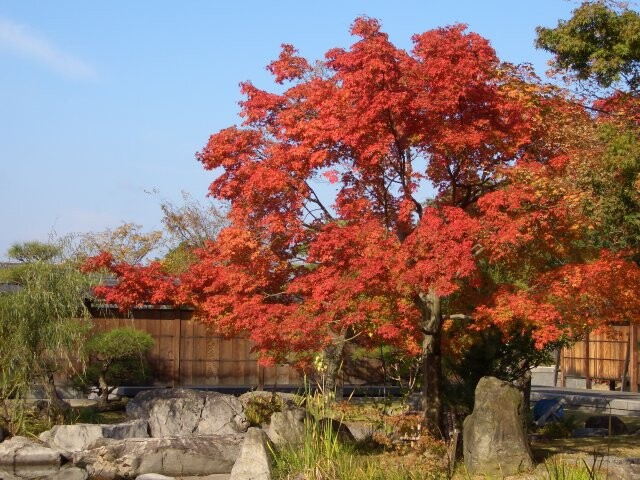 松山城二之丸史跡庭園の写真