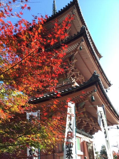 朝倉山真禅院の写真