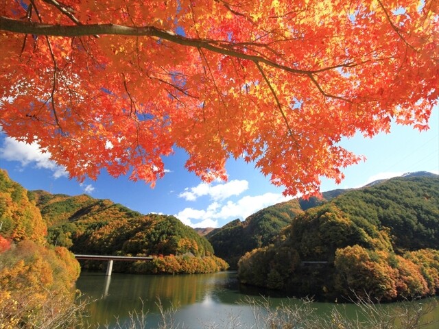 もみじ湖(箕輪ダム)の写真