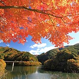 もみじ湖(箕輪ダム)