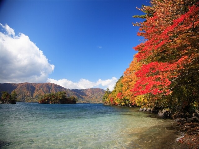 十和田湖の写真