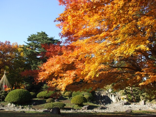 弘前公園の写真