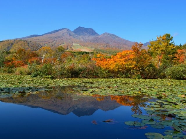 妙高高原 いもり池 の紅葉見ごろ情報 天気 日本気象協会 Tenki Jp