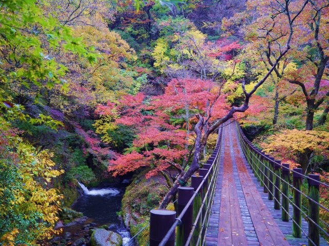 花貫渓谷の紅葉見ごろ情報 天気 21 日本気象協会 Tenki Jp