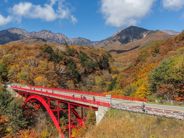 川俣川渓谷・東沢大橋の写真