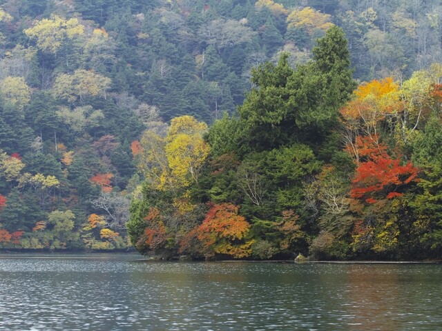 日光(湯ノ湖・湯滝)の写真