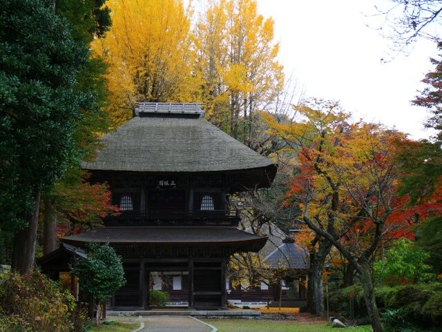 秋川渓谷 広徳寺周辺 の紅葉見ごろ情報 天気 日本気象協会 Tenki Jp