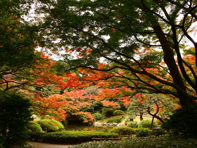 東京都庭園美術館の写真