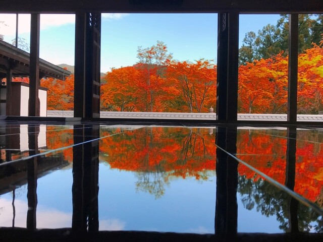 宝徳寺の写真