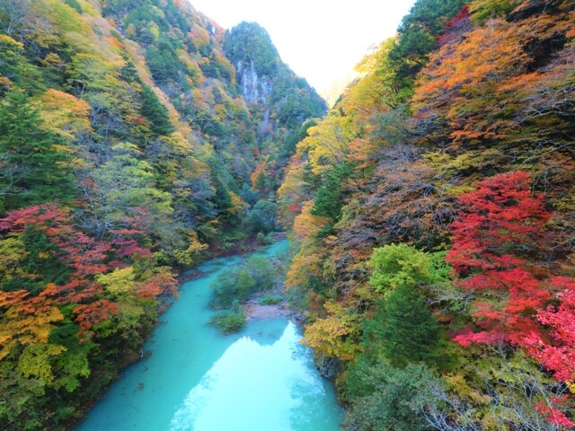 高瀬渓谷の写真