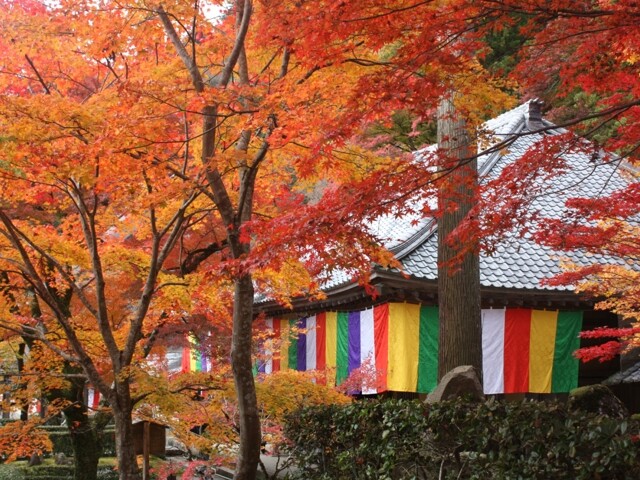 永源寺の写真