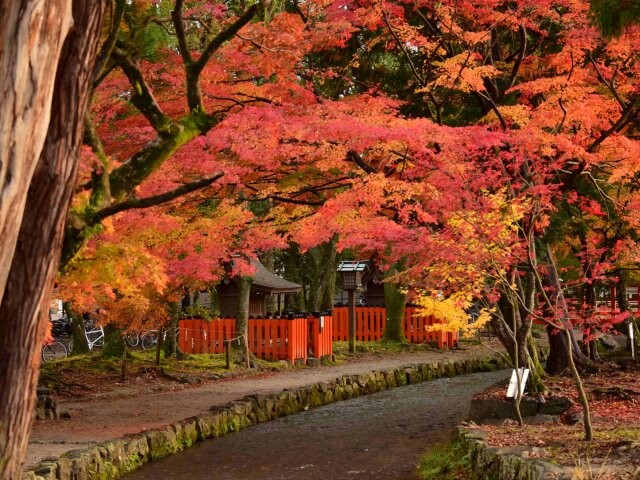 賀茂別雷神社(上賀茂神社)の写真