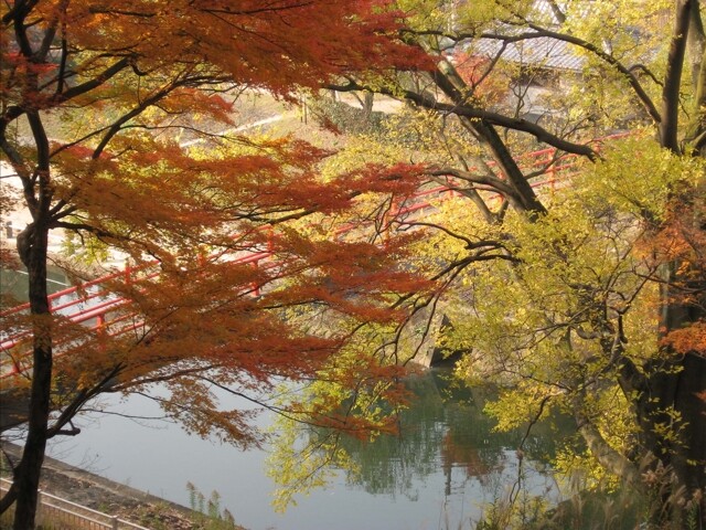奈良県立竜田公園の写真