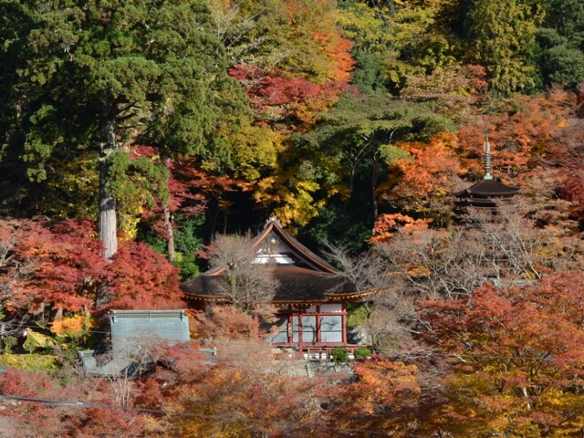 談山神社の写真