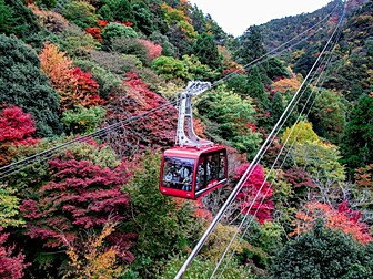 神戸布引ハーブ園 ロープウェイの紅葉見ごろ情報 天気 21 日本気象協会 Tenki Jp