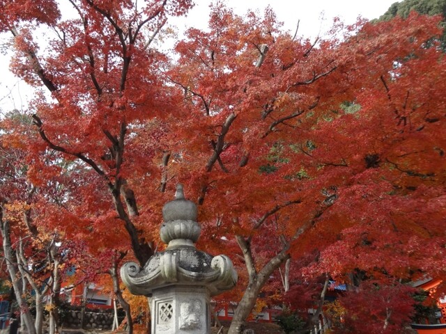 須磨寺の写真