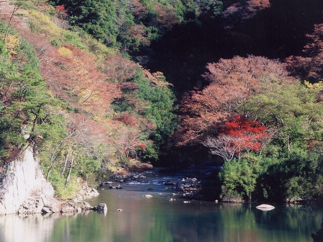 長門峡の紅葉見ごろ情報 天気 日本気象協会 Tenki Jp