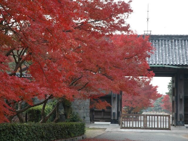 毛利氏庭園の紅葉見ごろ情報 天気 19 日本気象協会 Tenki Jp