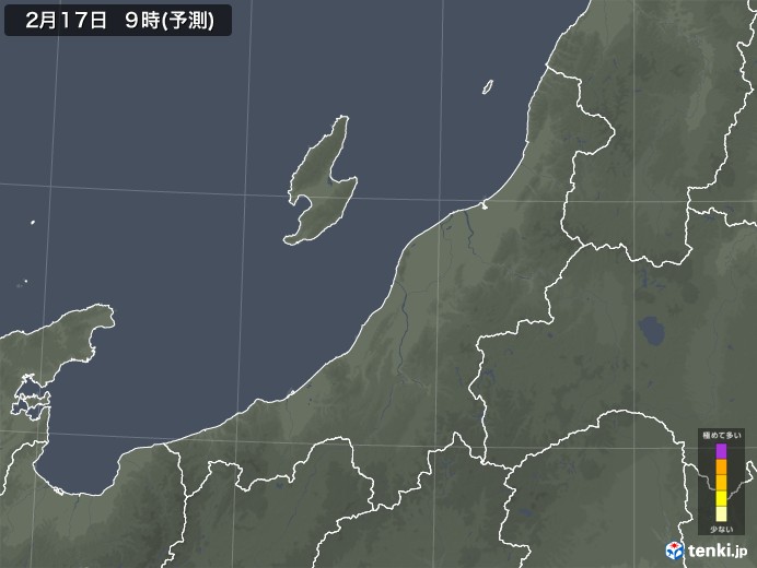 新潟県のヒノキ花粉 飛散予測マップ 2025