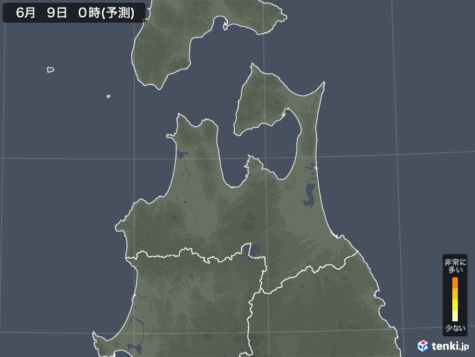 青森県のスギ花粉 飛散予測マップ 2024