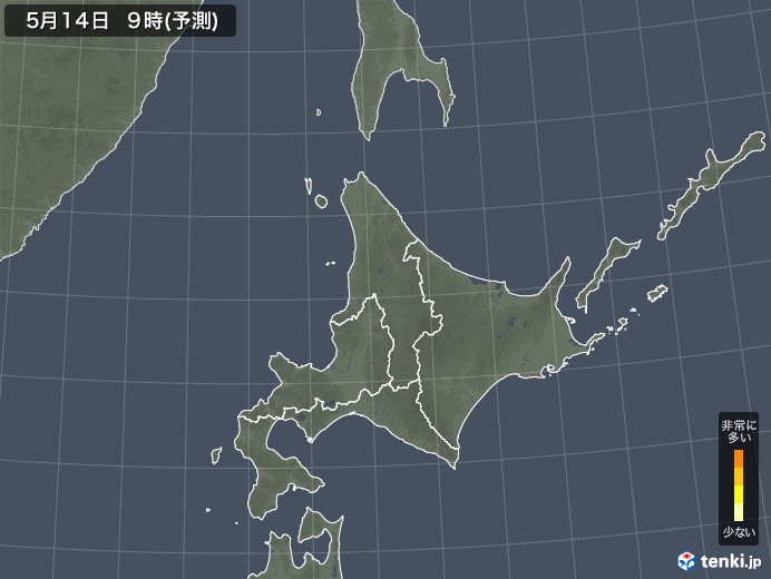 北海道地方のスギ花粉飛散予測マップ 2024
