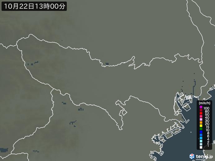 東京都の雨雲レーダー(実況)