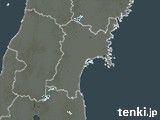 1日前(19日15:00)