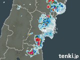 4日前(04日15:00)