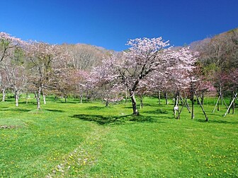 別保公園