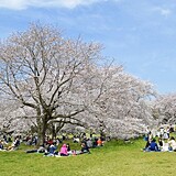 国営昭和記念公園