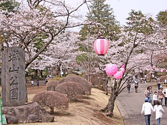 栃木県の桜開花 満開情報 21 日本気象協会 Tenki Jp