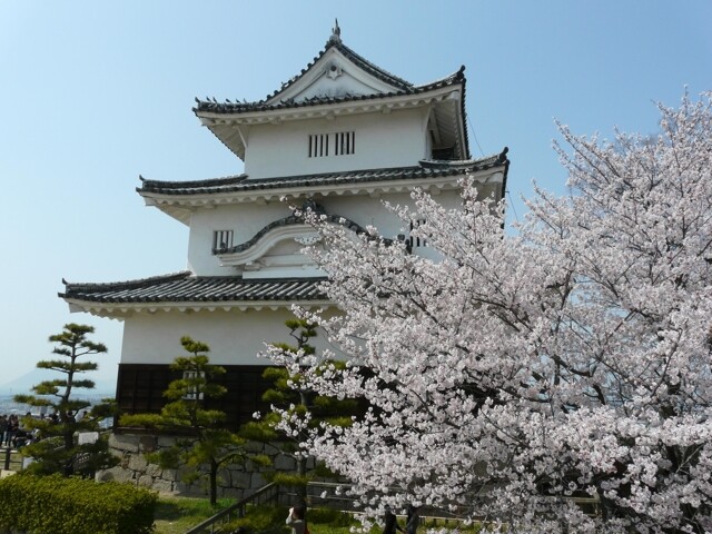 丸亀城の写真