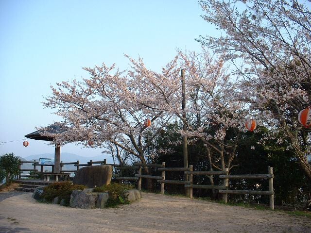 王子山公園の桜開花 満開情報 21 日本気象協会 Tenki Jp