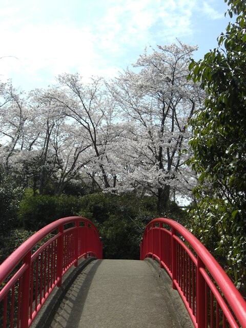 大井関公園の写真