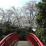 大井関公園