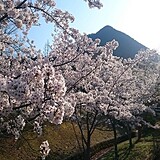 滋賀県立近江富士花緑公園