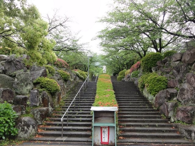 眉山治山祈念公苑の桜開花情報 日本気象協会 Tenki Jp