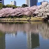 旧芝離宮恩賜庭園