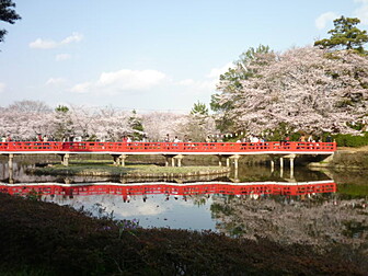 飯能市の桜開花 満開情報 21 日本気象協会 Tenki Jp