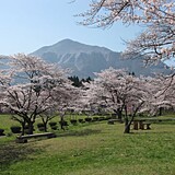 秩父市の桜開花 満開情報 21 日本気象協会 Tenki Jp