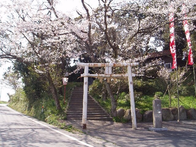 木ノ根神社の写真